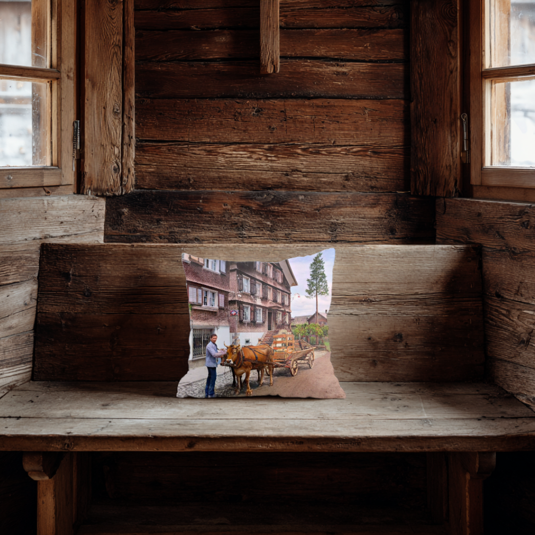 Fuhrwerk - Koloriert